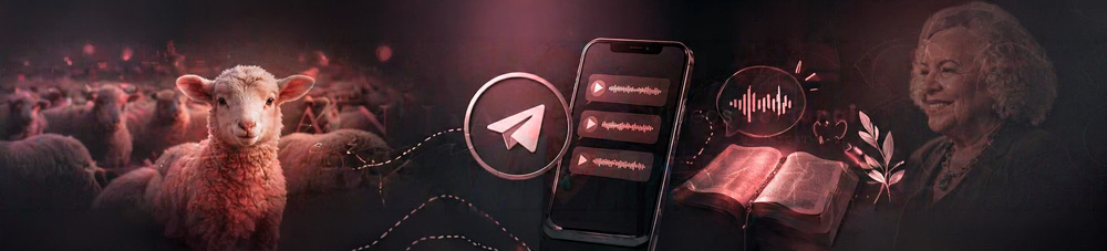 Grupo Telegram